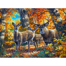Load image into Gallery viewer, Moose In A Maple Forest 40*30CM(Canvas) Full Round Drill Diamond Painting
