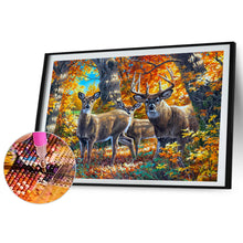 Load image into Gallery viewer, Moose In A Maple Forest 40*30CM(Canvas) Full Round Drill Diamond Painting
