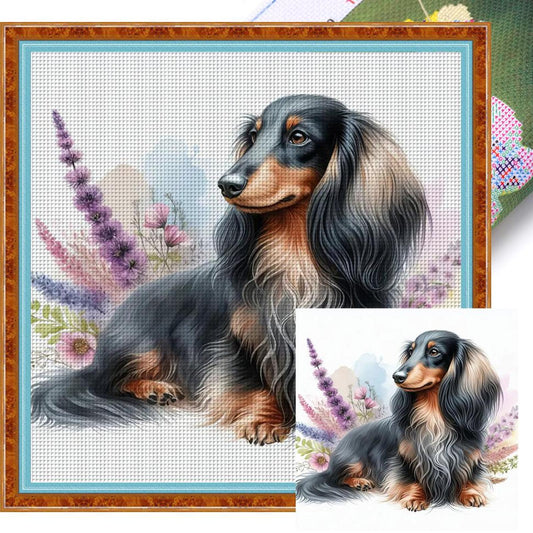 Dachshund-Dog - Full 11CT Stamped Cross Stitch 40x40CM - Yishu