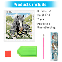 Load image into Gallery viewer, Horse 30*30CM Special Shaped Drill Diamond Painting Drill Diamond Painting
