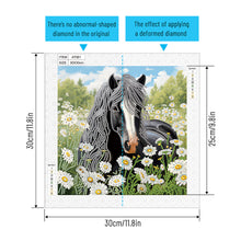 Load image into Gallery viewer, Horse 30*30CM Special Shaped Drill Diamond Painting Drill Diamond Painting
