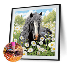 Load image into Gallery viewer, Horse 30*30CM Special Shaped Drill Diamond Painting Drill Diamond Painting
