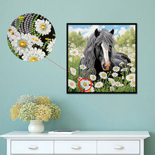 Load image into Gallery viewer, Horse 30*30CM Special Shaped Drill Diamond Painting Drill Diamond Painting
