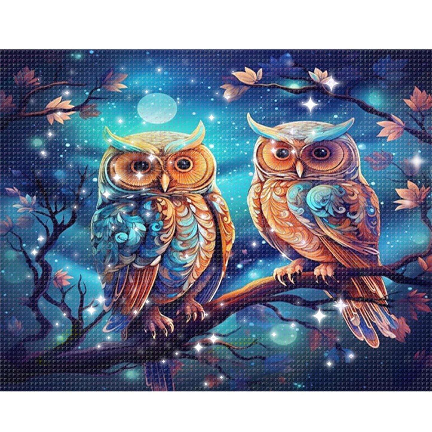 Two Owls - Full  9CT Stamped Cross Stitch - Bead Embroidery 52x40CM/20.47x15.75in