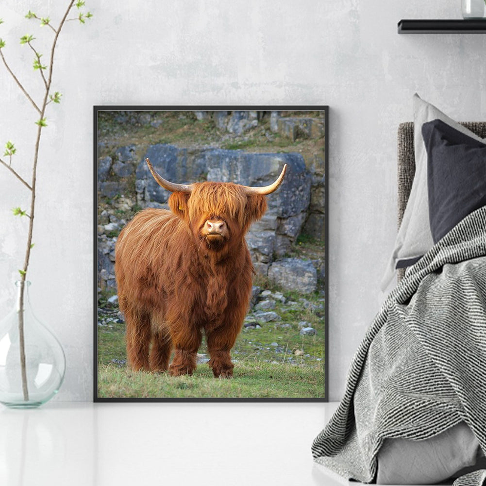 Highland Cow - Full 11CT Stamped Cross Stitch 40x50CM - Huacan