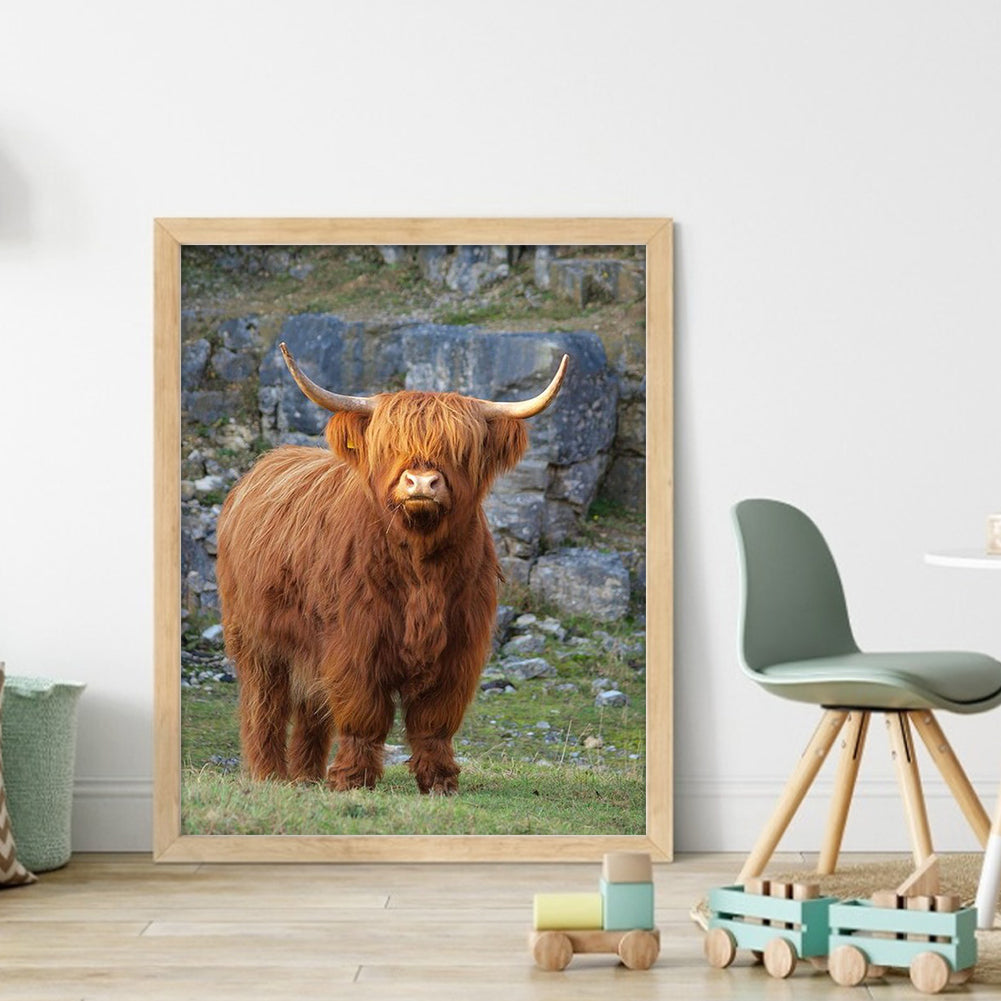 Highland Cow - Full 11CT Stamped Cross Stitch 40x50CM - Huacan