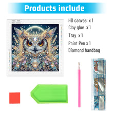 Load image into Gallery viewer, Owl 30*30CM Special Shaped Drill Diamond Painting Drill Diamond Painting
