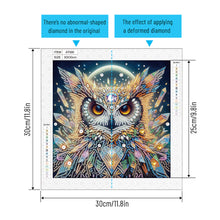 Load image into Gallery viewer, Owl 30*30CM Special Shaped Drill Diamond Painting Drill Diamond Painting
