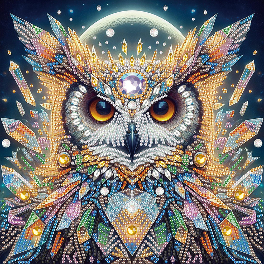 Owl 30*30CM Special Shaped Drill Diamond Painting Drill Diamond Painting