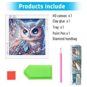 Owl 30*30CM Special Shaped Drill Diamond Painting Drill Diamond Painting