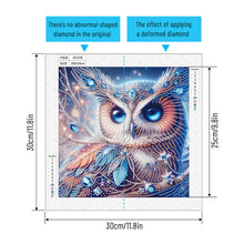 Load image into Gallery viewer, Owl 30*30CM Special Shaped Drill Diamond Painting Drill Diamond Painting
