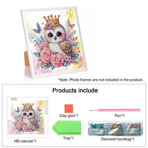 Owl 30*30CM Special Shaped Drill Diamond Painting Drill Diamond Painting