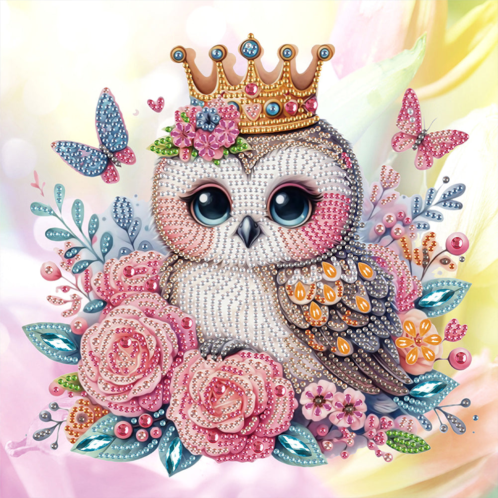 Owl 30*30CM Special Shaped Drill Diamond Painting Drill Diamond Painting