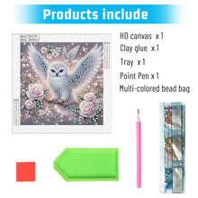 Load image into Gallery viewer, Owl 30*30CM Special Shaped Drill Diamond Painting Drill Diamond Painting
