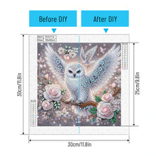 Load image into Gallery viewer, Owl 30*30CM Special Shaped Drill Diamond Painting Drill Diamond Painting
