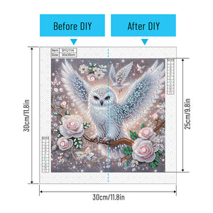 Owl 30*30CM Special Shaped Drill Diamond Painting Drill Diamond Painting