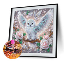 Load image into Gallery viewer, Owl 30*30CM Special Shaped Drill Diamond Painting Drill Diamond Painting
