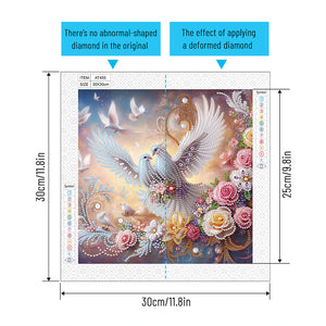 Pigeon 30*30CM Special Shaped Drill Diamond Painting Drill Diamond Painting