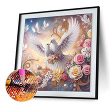 Load image into Gallery viewer, Pigeon 30*30CM Special Shaped Drill Diamond Painting Drill Diamond Painting
