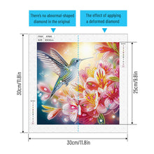 Load image into Gallery viewer, Hummingbird 30*30CM Special Shaped Drill Diamond Painting Drill Diamond Painting
