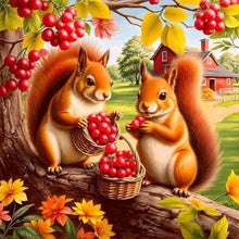 Load image into Gallery viewer, Squirrel Eating Berries In Autumn 40*40CM Full Round Drill Diamond Painting Drill Diamond Painting
