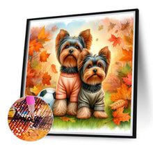 Load image into Gallery viewer, Yorkshire Terrier Dog In Autumn 40*40CM Full Round Drill Diamond Painting Drill Diamond Painting
