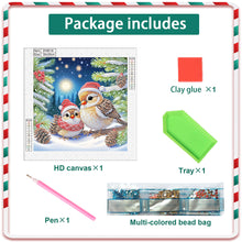 Load image into Gallery viewer, Christmas Bird 30*30CM(Canvas) Partial Special Shaped Drill Diamond Painting
