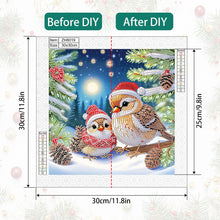 Load image into Gallery viewer, Christmas Bird 30*30CM(Canvas) Partial Special Shaped Drill Diamond Painting
