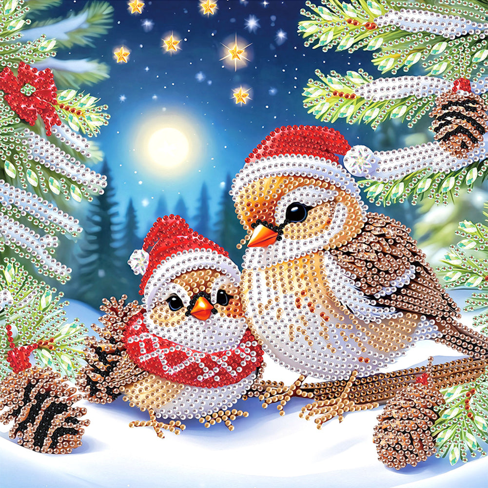 Christmas Bird 30*30CM(Canvas) Partial Special Shaped Drill Diamond Painting