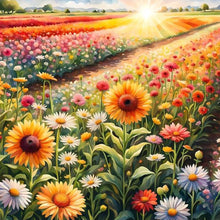 Load image into Gallery viewer, Sunflowers And Daisies Field 30*30CM Full Round Drill Diamond Painting Drill Diamond Painting
