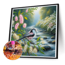 Load image into Gallery viewer, Birdsong And Flowers 30*30CM Special Shaped Drill Diamond Painting Drill Diamond Painting
