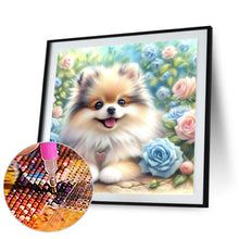 Load image into Gallery viewer, Rose Garden Pomeranian 30*30CM Full Round Drill Diamond Painting Drill Diamond Painting
