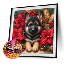 Load image into Gallery viewer, Christmas Poinsettia Dog 40*40CM Full AB Square Drill Diamond Painting Drill Diamond Painting
