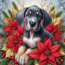 Load image into Gallery viewer, Christmas Poinsettia Dog 40*40CM Full AB Square Drill Diamond Painting Drill Diamond Painting
