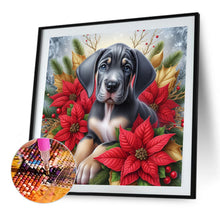 Load image into Gallery viewer, Christmas Poinsettia Dog 40*40CM Full AB Square Drill Diamond Painting Drill Diamond Painting
