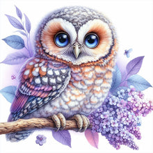 Load image into Gallery viewer, Owl 30*30CM Full Round Drill Diamond Painting Drill Diamond Painting
