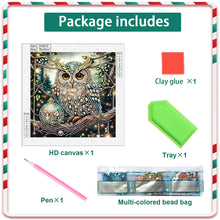 Load image into Gallery viewer, Christmas Owl 30*30CM(Canvas) Partial Special Shaped Drill Diamond Painting
