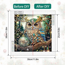 Load image into Gallery viewer, Christmas Owl 30*30CM(Canvas) Partial Special Shaped Drill Diamond Painting

