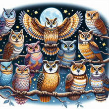 Load image into Gallery viewer, Multiple Owls 40*40CM(Canvas) Full Round Drill Diamond Painting
