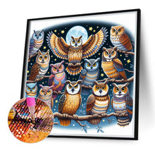 Load image into Gallery viewer, Multiple Owls 40*40CM(Canvas) Full Round Drill Diamond Painting
