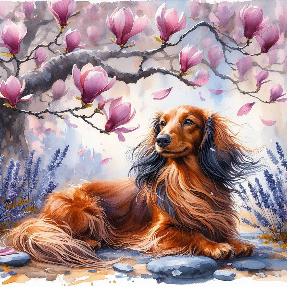 Magnolia Dachshund 40*40CM(Canvas) Full Round Drill Diamond Painting