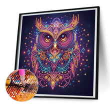 Load image into Gallery viewer, Starlight Animal Owl 30*30CM(Canvas) Partial Special Shaped Drill Diamond Painting
