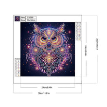 Load image into Gallery viewer, Starlight Animal Owl 30*30CM(Canvas) Partial Special Shaped Drill Diamond Painting
