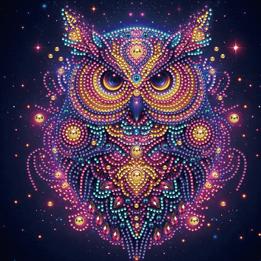 Starlight Animal Owl 30*30CM(Canvas) Partial Special Shaped Drill Diamond Painting