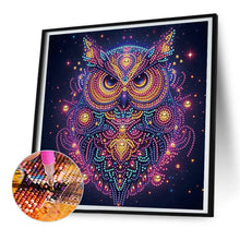 Load image into Gallery viewer, Starlight Animal Owl 30*30CM(Canvas) Partial Special Shaped Drill Diamond Painting
