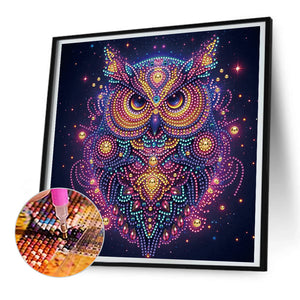 Starlight Animal Owl 30*30CM(Canvas) Partial Special Shaped Drill Diamond Painting