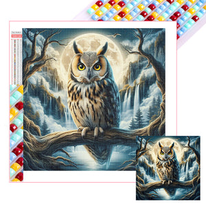 Owl 40*40CM(Picture) Full Square Drill Diamond Painting