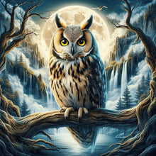 Load image into Gallery viewer, Owl 40*40CM(Picture) Full Square Drill Diamond Painting
