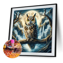 Load image into Gallery viewer, Owl 40*40CM(Picture) Full Square Drill Diamond Painting
