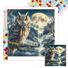 Load image into Gallery viewer, Owl 40*40CM(Picture) Full Square Drill Diamond Painting
